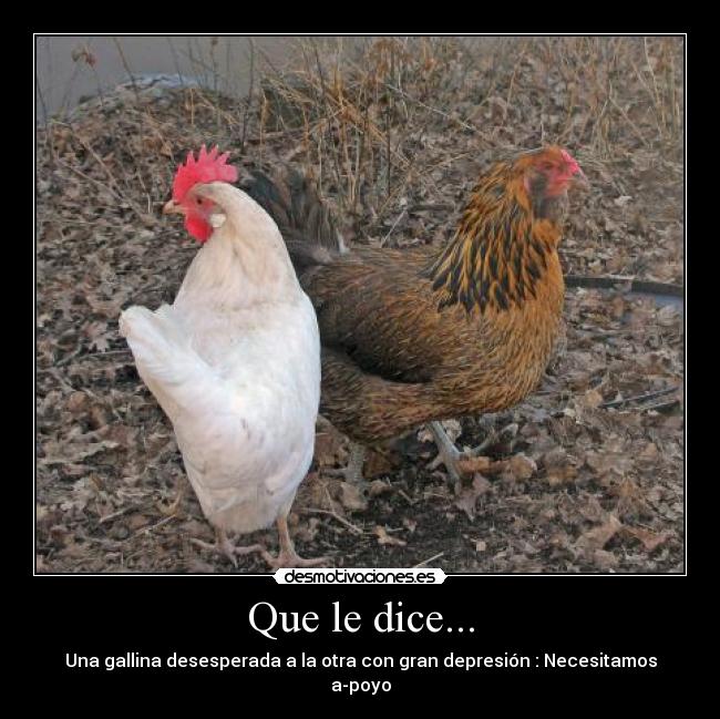 carteles chiste desmotivaciones