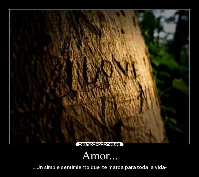 Amor... - 
