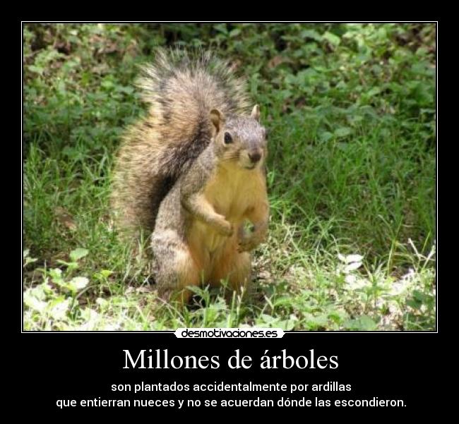 Millones de árboles - 