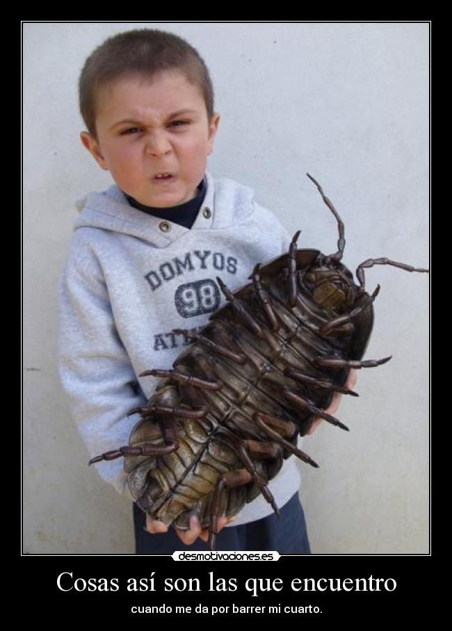 Cosas así son las que encuentro - 