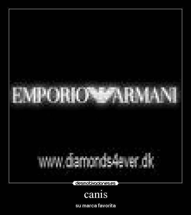 canis - su marca favorita
