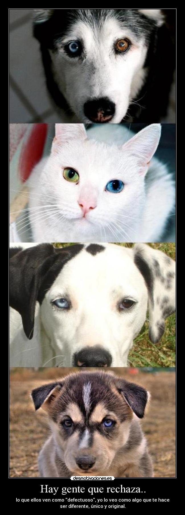 Hay gente que rechaza.. -