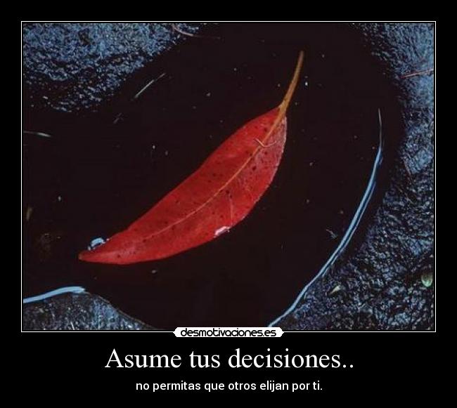 Asume tus decisiones.. - no permitas que otros elijan por ti.