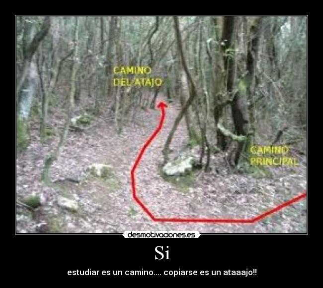 Si - estudiar es un camino.... copiarse es un ataaajo!!