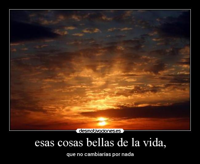 esas cosas bellas de la vida, - que no cambiarías por nada