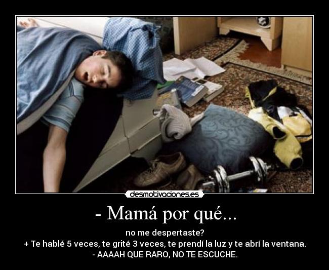 carteles por que no despertaste hable veces grite prendi ventana abri escuche raro desmotivaciones