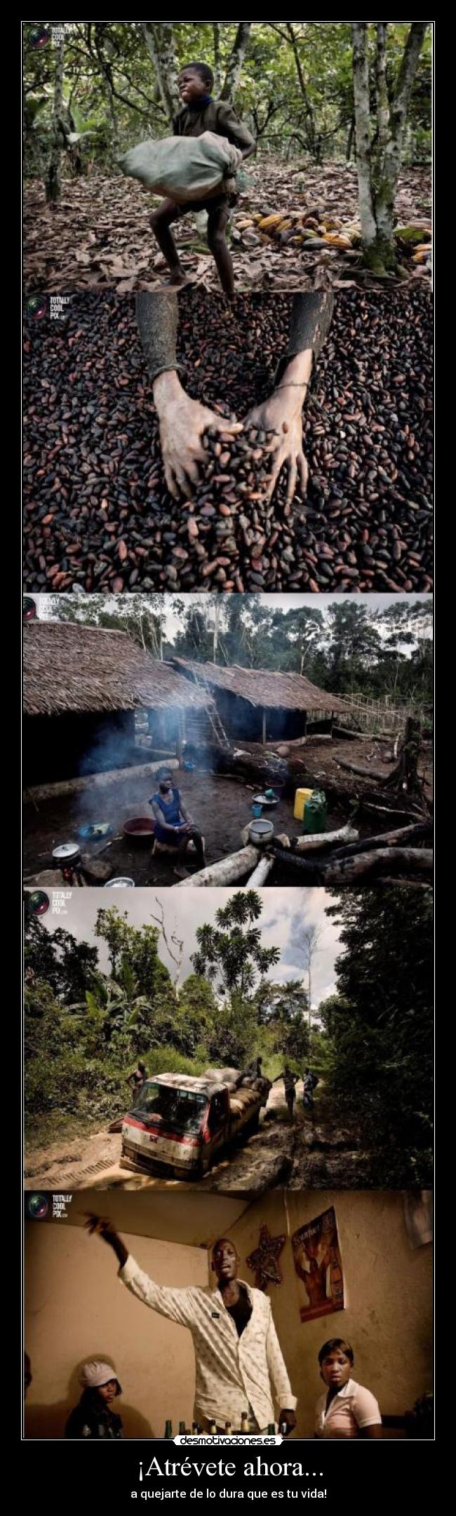 ¡Atrévete ahora... -