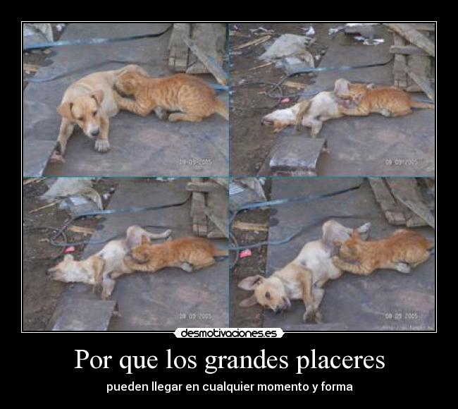 Por que los grandes placeres - pueden llegar en cualquier momento y forma