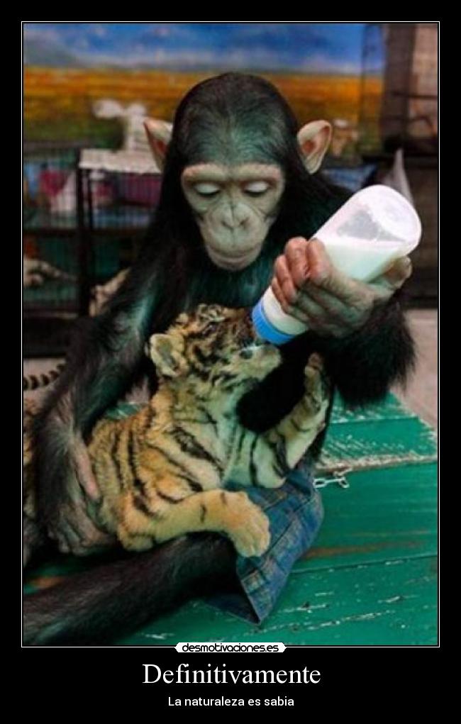 carteles mono leon naturaleza desmotivaciones