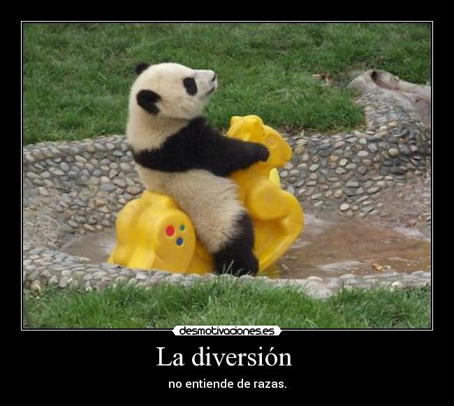 La diversión  - no entiende de razas.