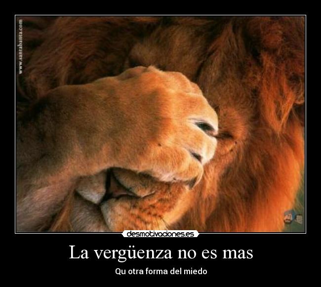 La vergüenza no es mas - Qu otra forma del miedo