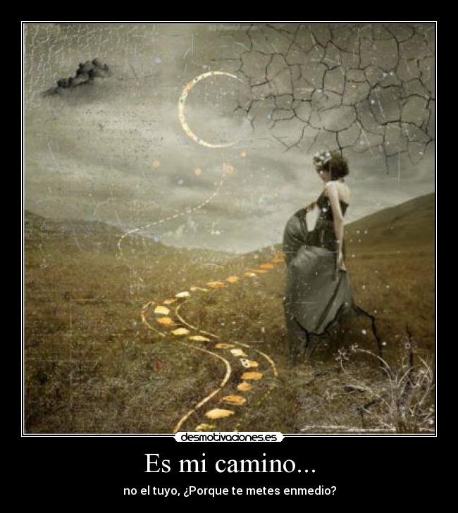 carteles camino desmotivaciones