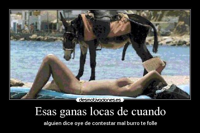 Esas ganas locas de cuando - alguien dice oye de contestar mal burro te folle