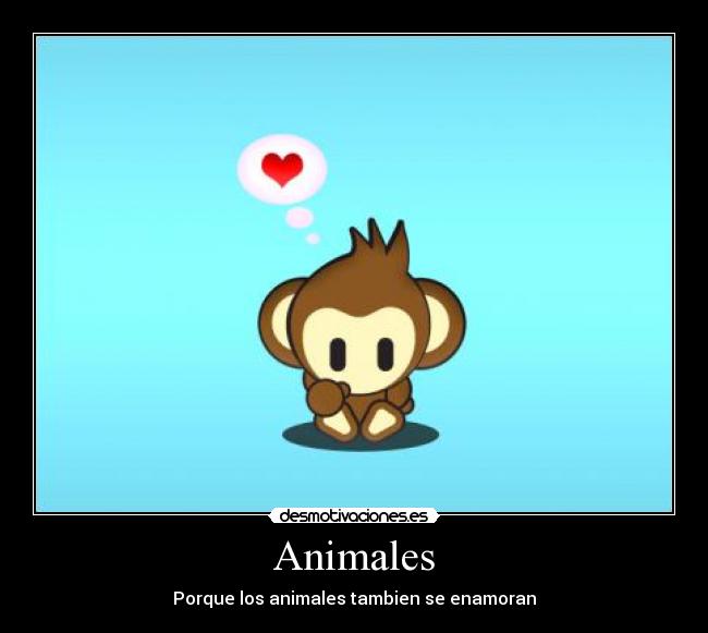 Animales - 