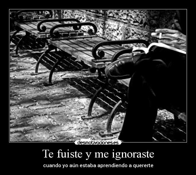 Te fuiste y me ignoraste - 