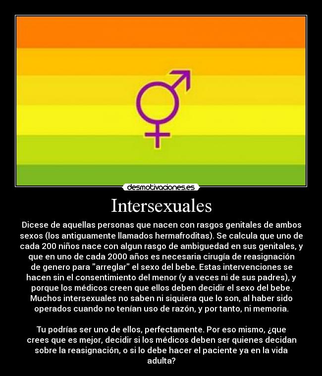 BanderaIntersex.jpg (650×758)