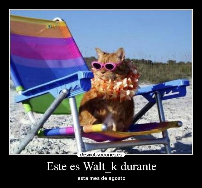 Este es Walt_k durante - 