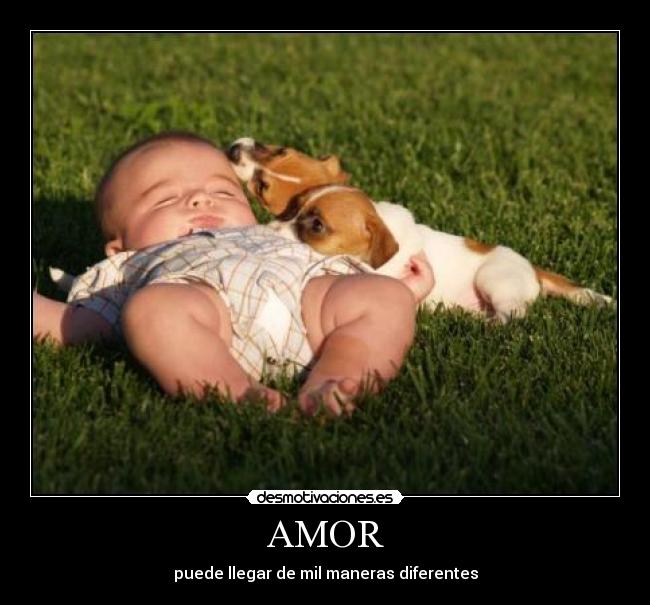AMOR -