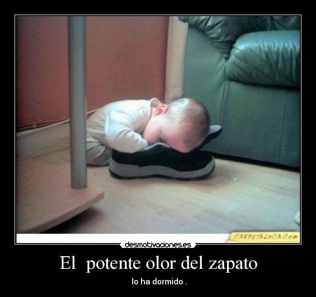 El potente olor del zapato - lo ha dormido .