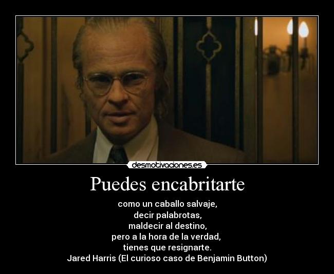 Puedes encabritarte - como un caballo salvaje,
decir palabrotas,
maldecir al destino,
pero a la hora de la verdad, 
tienes que resignarte.
Jared Harris (El curioso caso de Benjamin Button)