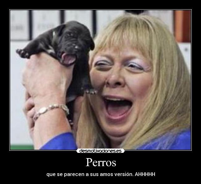 Perros - que se parecen a sus amos versión. AHHHHH