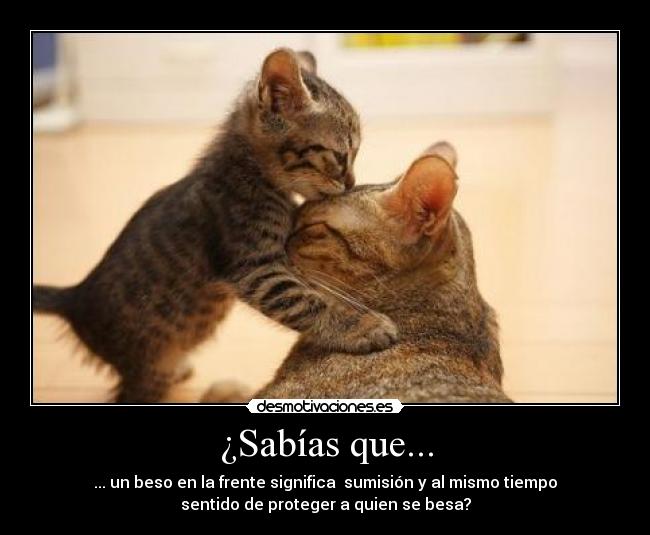 carteles besos desmotivaciones