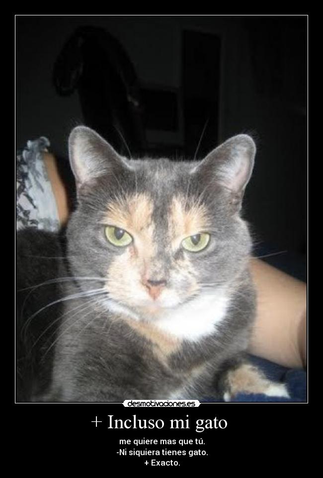 + Incluso mi gato - me quiere mas que tú.
-Ni siquiera tienes gato.
+ Exacto.