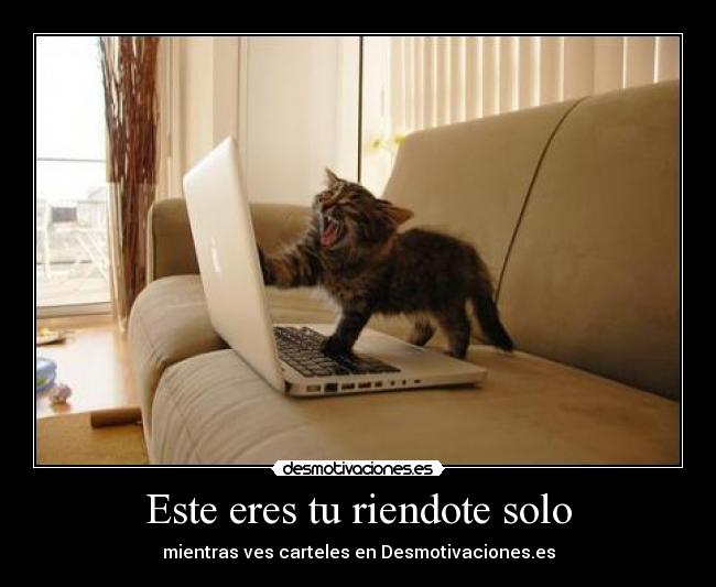 Este eres tu riendote solo - 