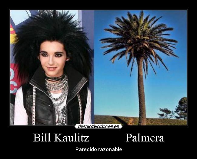 Bill Kaulitz Palmera -