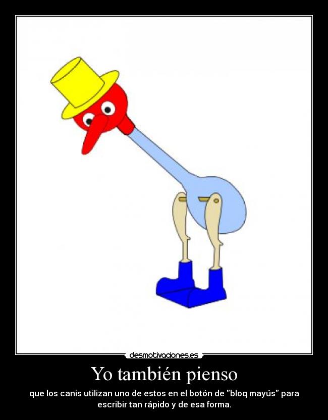 Yo también pienso -