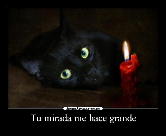 Tu mirada me hace grande - 