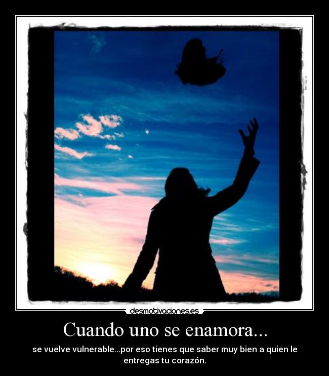 carteles cuando uno enamora desmotivaciones