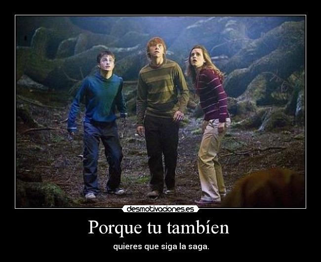 Porque tu tambíen  - 