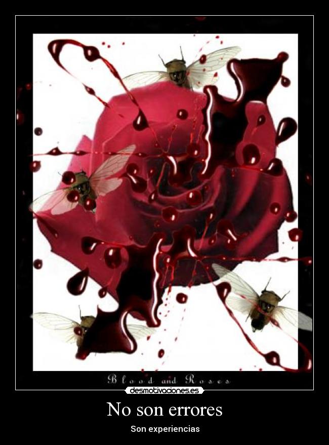 No son errores - Son experiencias