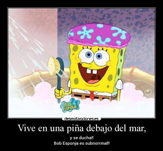 Vive en una piña debajo del mar, - y se ducha!!
Bob Esponja es subnorrmal!!