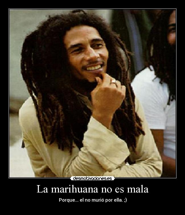La marihuana no es mala - Porque... el no murió por ella. ;)
