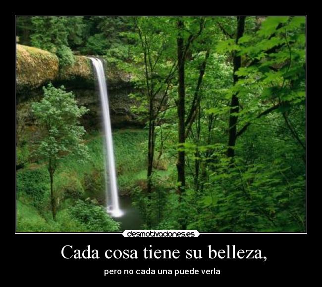 Cada cosa tiene su belleza, -