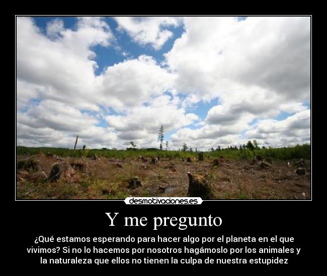 Y me pregunto - 