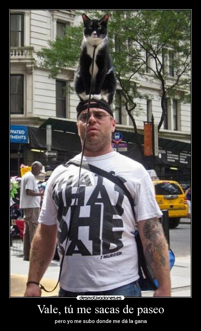 Vale, tú me sacas de paseo -