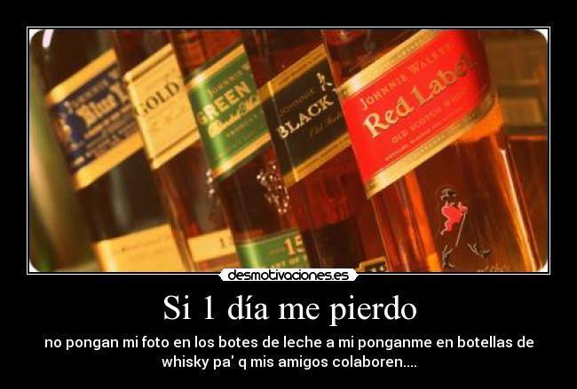 Si 1 día me pierdo -