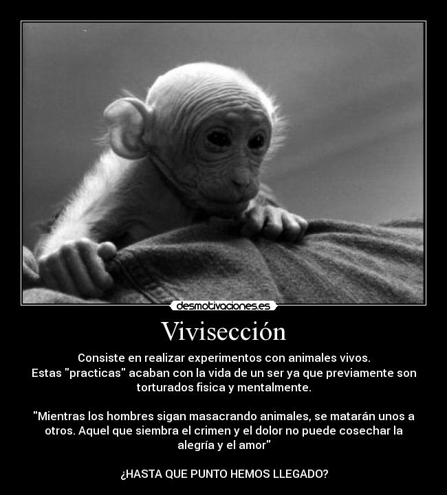 Vivisección - Consiste en realizar experimentos con animales vivos.
Estas practicas acaban con la vida de un ser ya que previamente son
torturados fisica y mentalmente.

Mientras los hombres sigan masacrando animales, se matarán unos a
otros. Aquel que siembra el crimen y el dolor no puede cosechar la
alegría y el amor

¿HASTA QUE PUNTO HEMOS LLEGADO?