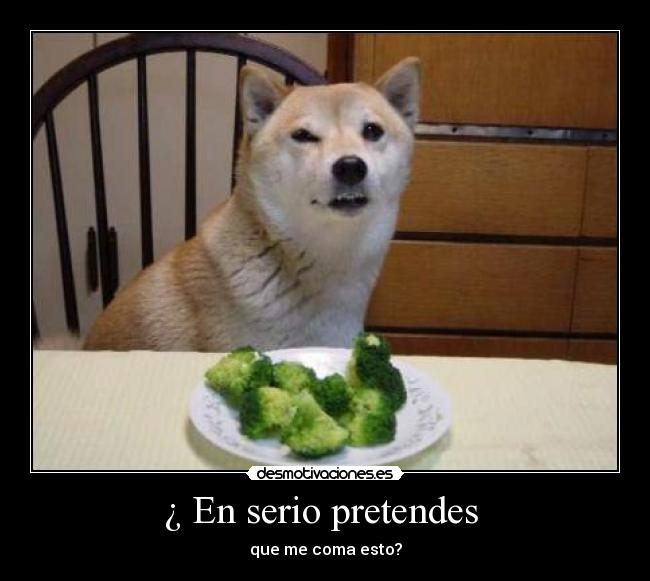 ¿ En serio pretendes  - 