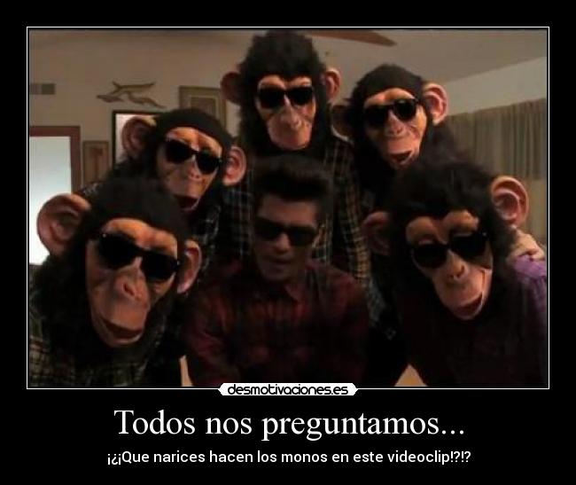 Todos nos preguntamos... -