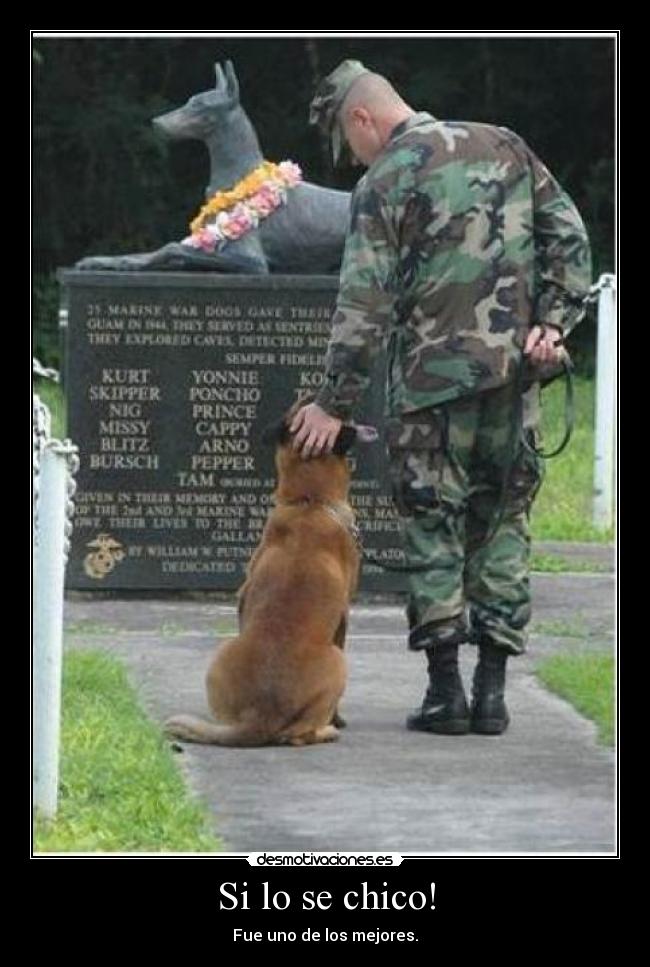 Si lo se chico! - Fue uno de los mejores.