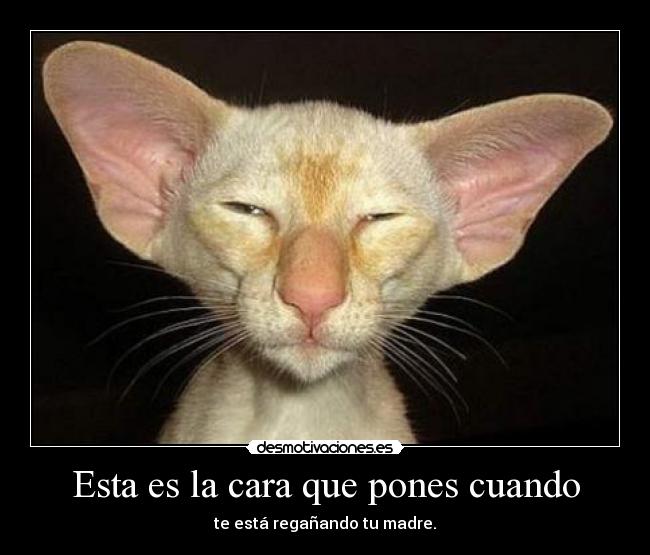 Esta es la cara que pones cuando - te está regañando tu madre.