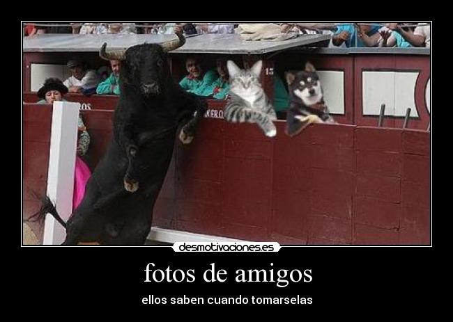 fotos de amigos - ellos saben cuando tomarselas