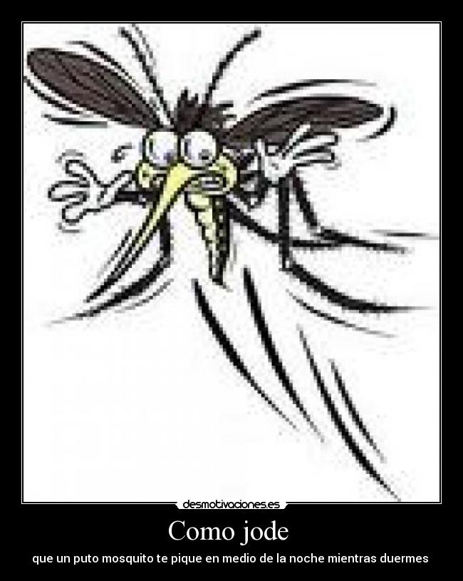 Como jode - que un puto mosquito te pique en medio de la noche mientras duermes