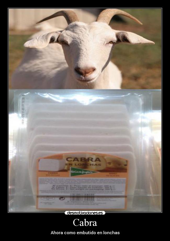 Cabra -