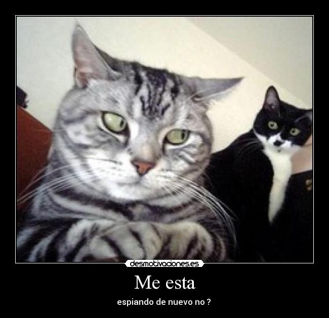 Me esta - 
