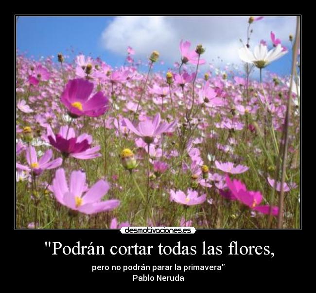 Podrán cortar todas las flores, - pero no podrán parar la primavera
Pablo Neruda